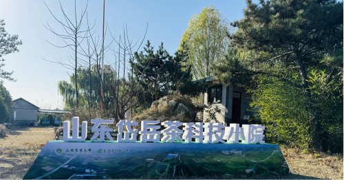 图片6(1) 图片6(1)