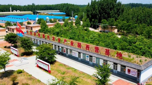 图片1