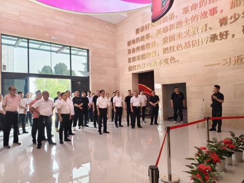 图片8